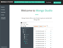 Tablet Screenshot of mongostudio.com